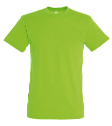 Футболка мужская REGENT, светло-зеленый, S, 100% хлопок, 150г/м2 (светло-зеленый)
